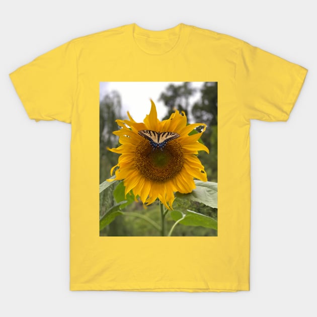 Sunflower with Butterfly T-Shirt by hobrath